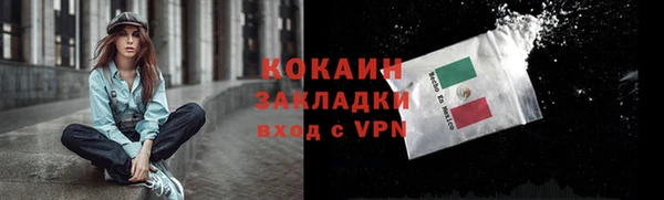 гашик Белокуриха