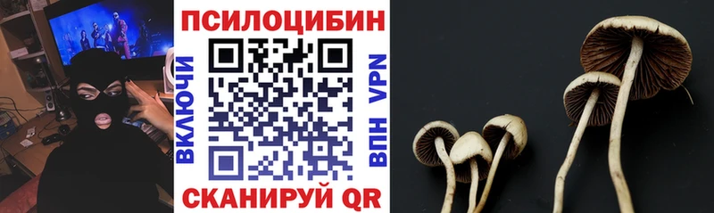 Псилоцибиновые грибы Psilocybe  Ермолино 